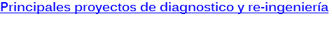 Principales proyectos de diagnostico y re-ingeniería 