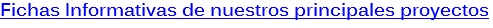 Fichas Informativas de nuestros principales proyectos